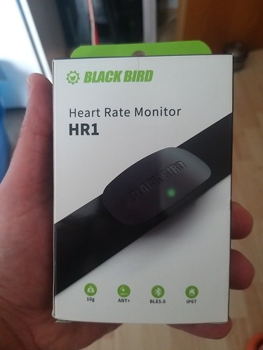 Black bird heart rate - black, monitor